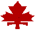 Maple Leaf